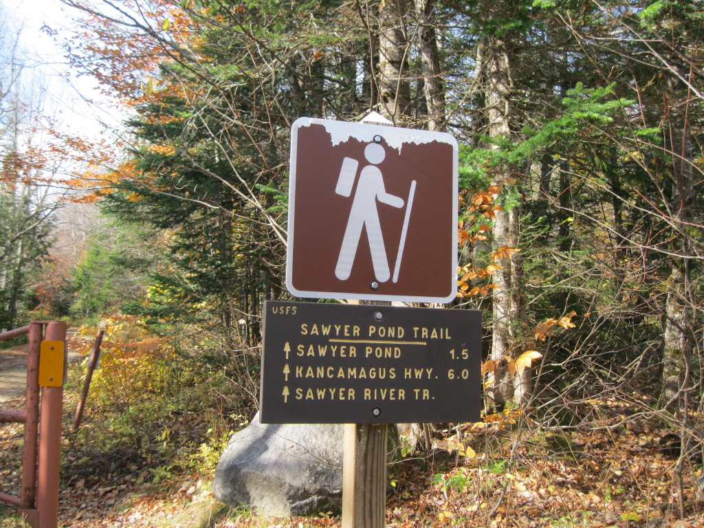 Sawyer Pond: A special place in the mountains, Hiking News