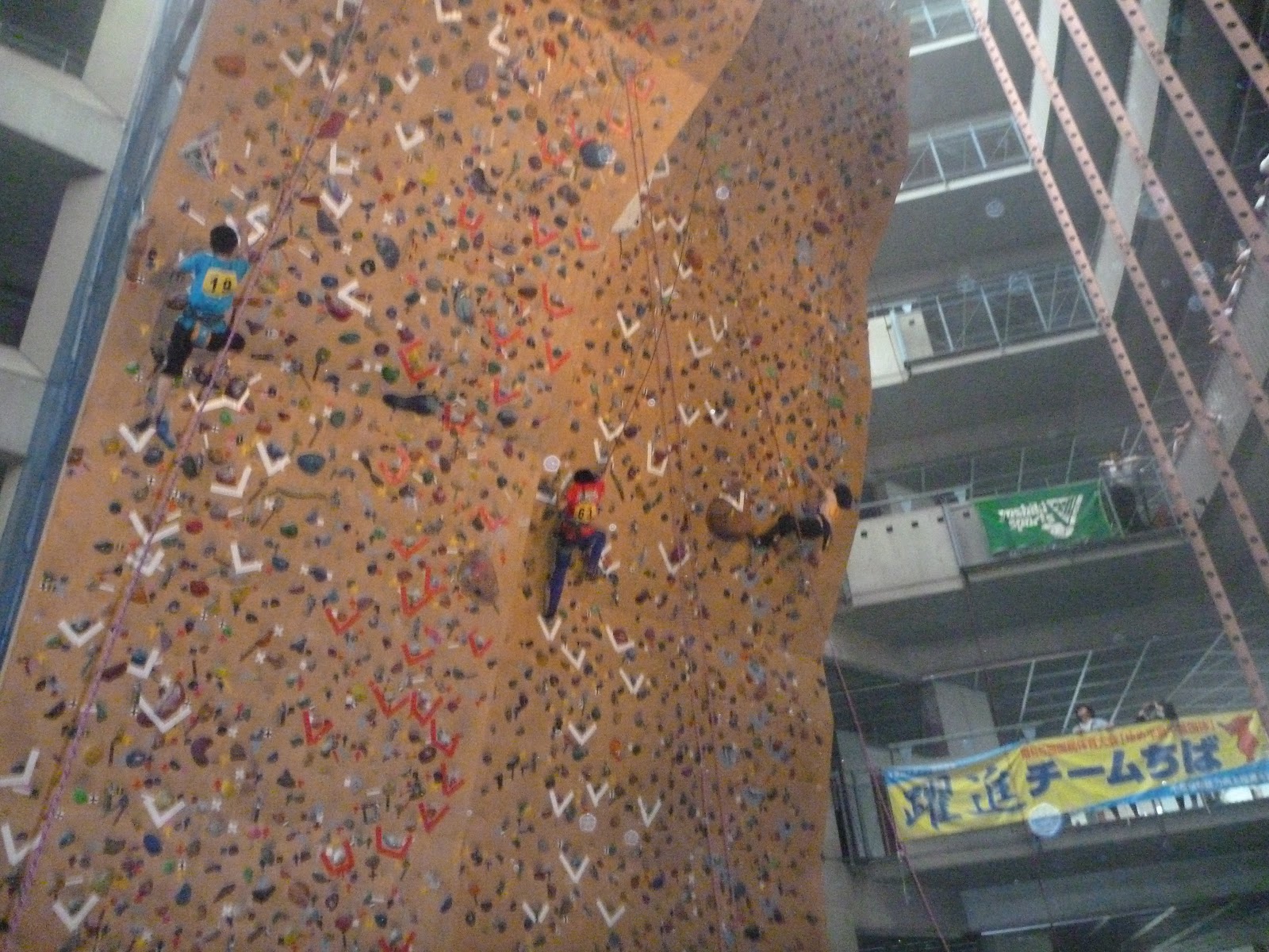 千葉県高校総体クライミング競技 および高校一年生トップロープ大会