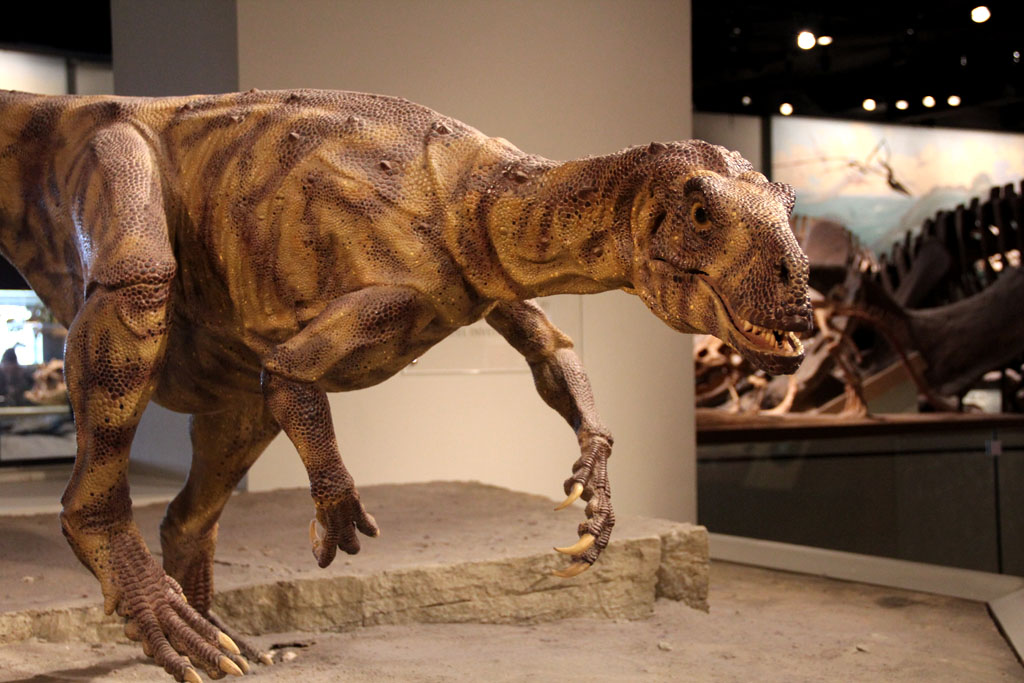 Field Museum Hall of Dinosaurs