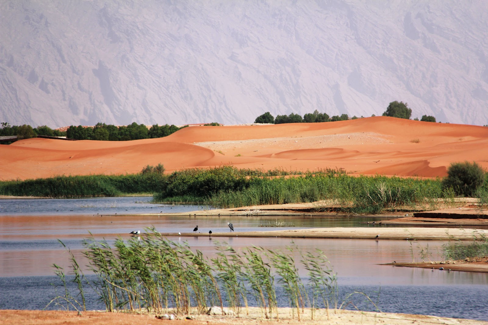 zame Online Lake Zakher