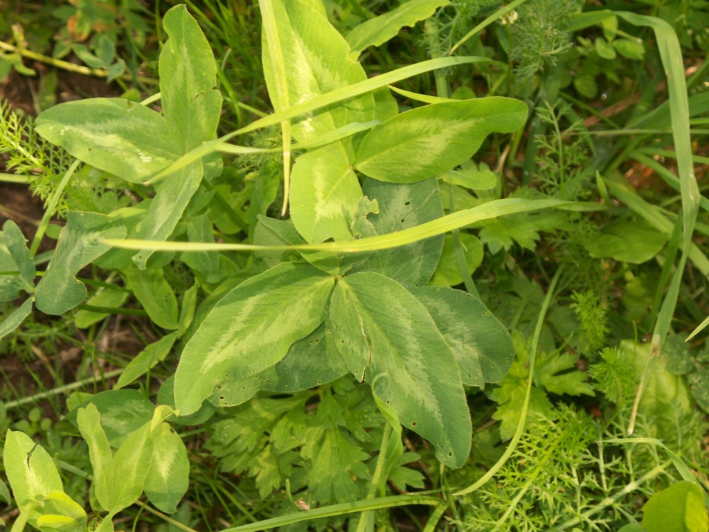 Jak żyć w codziennym kryzysie i być przygotowanym na gorsze czasy