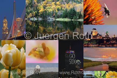 www.RothGalleries.com