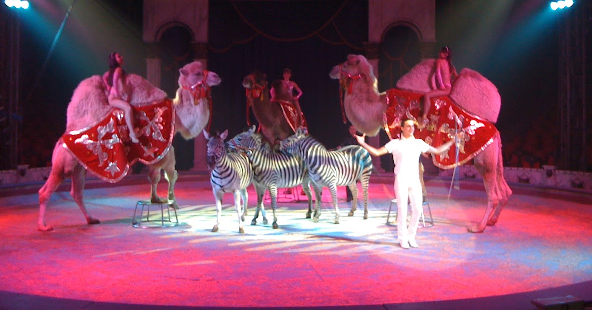 The Circus "NO SPIN ZONE" Joseph GarnerCirco Atayde(Aguilar)