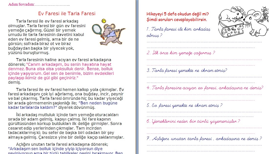 Ödev Vakti 1. Sınıf Türkçe Metin Çalışması &quot;Tarla Faresi ve Ev Faresi