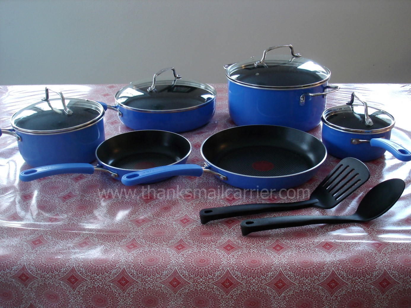 Thanks, Mail Carrier Simply Delicioso with Ingrid Hoffmann by Tfal