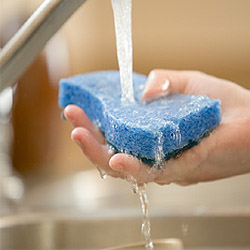 how-to-get-rid-of-sour-sponge-smell1.jpg