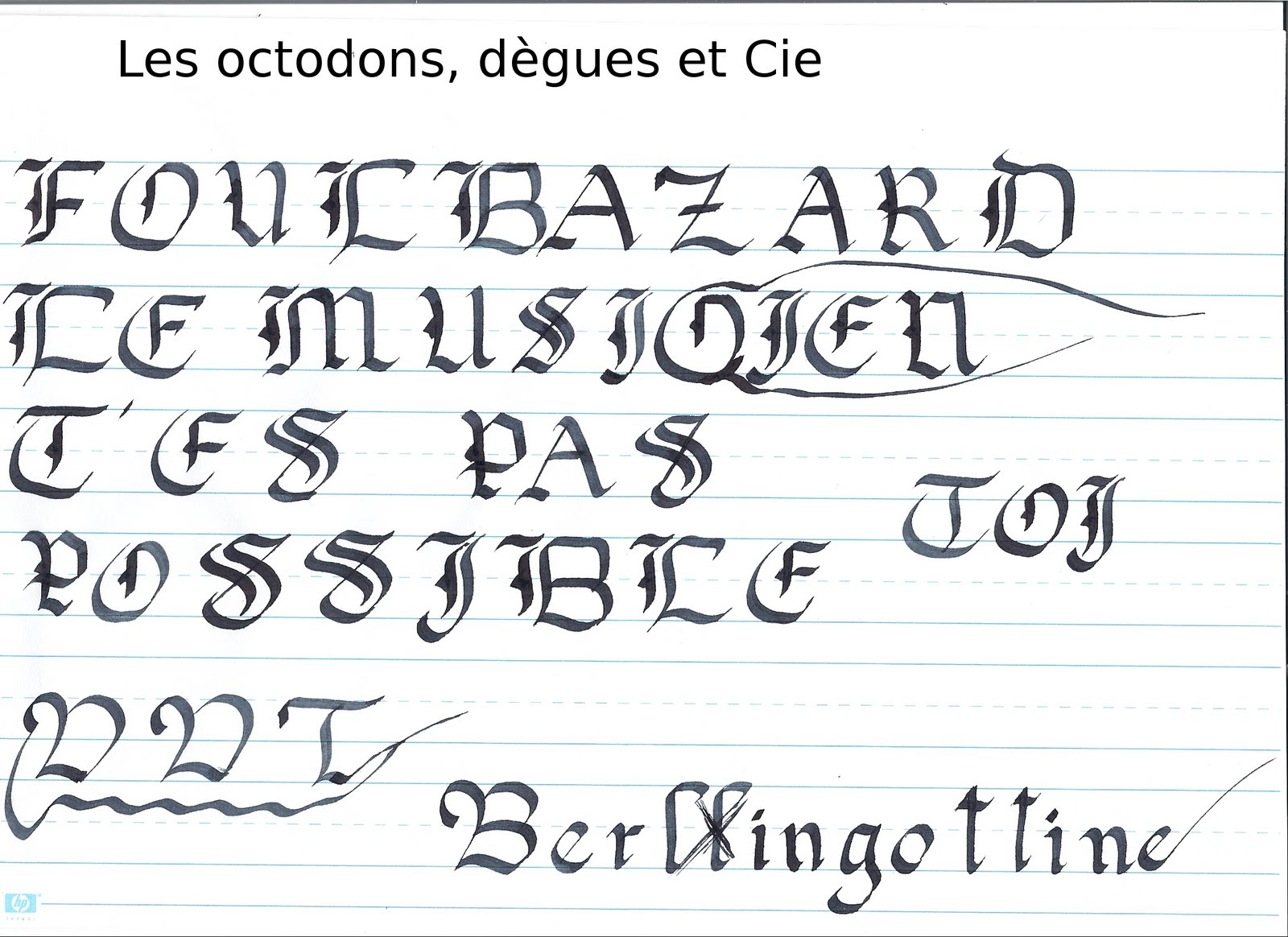 Les Octodons Degues Et Cie Calligraphie De Noms D Octodons