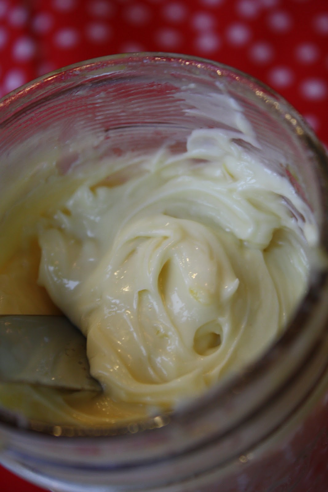 Tessa the Domestic Diva Wholesome, AllergyFriendly Living Homemade Mayonnaise