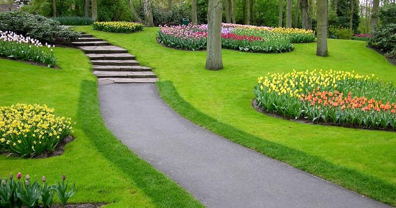 Uncommon face: There are some Uncommon wallpapers