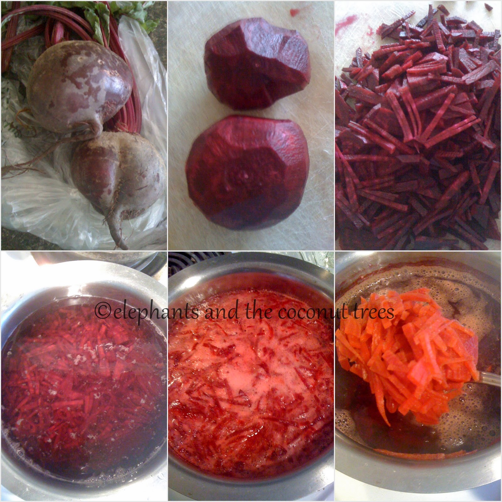 elephants and the coconut trees Beetroot Wine / Homemade Red wine