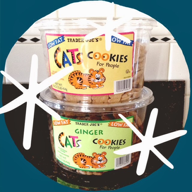 cats cookies