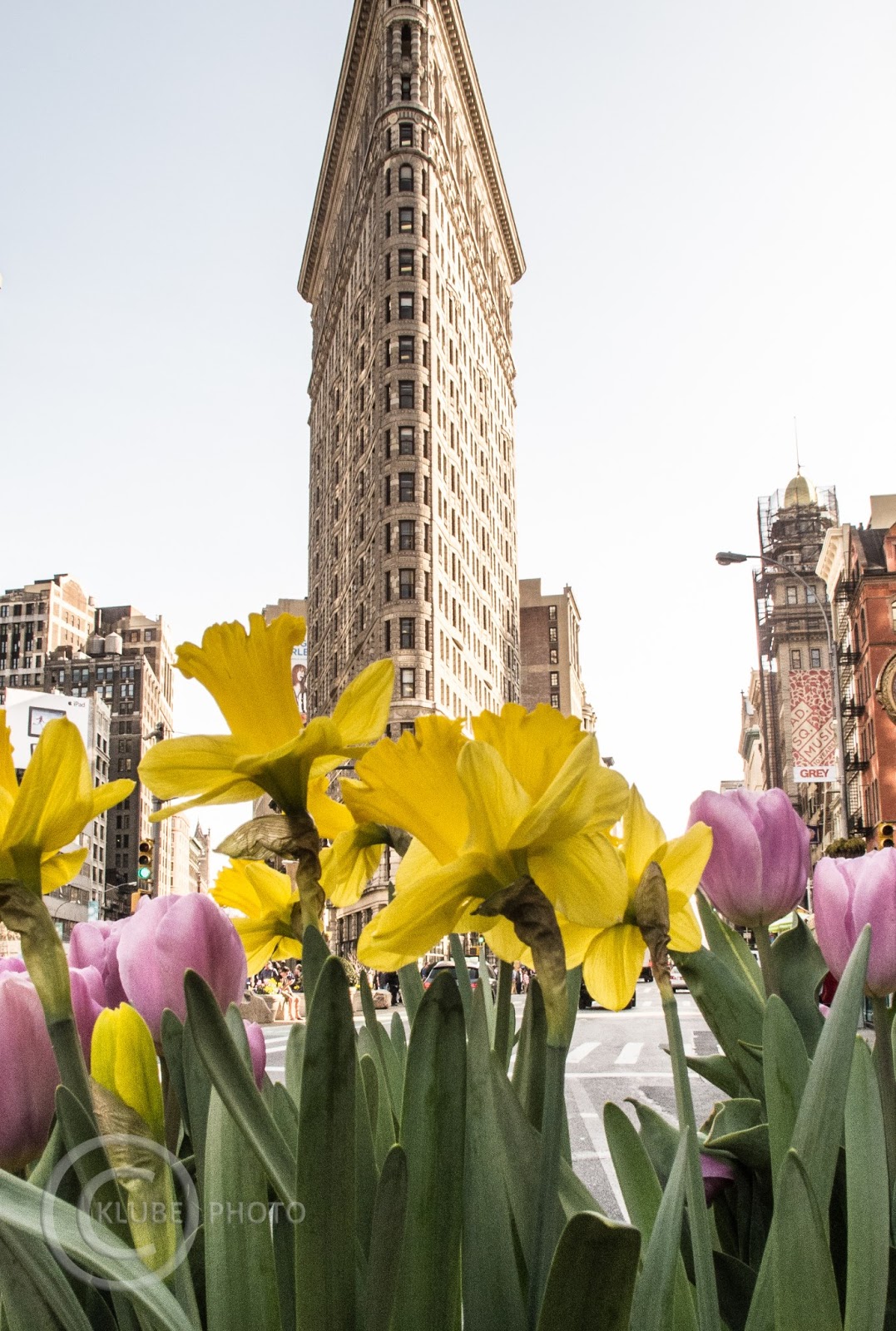 Genickstarre Nyc Die Saison Ist Eroeffnet