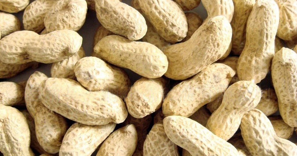 How to Grow Peanuts Garden How