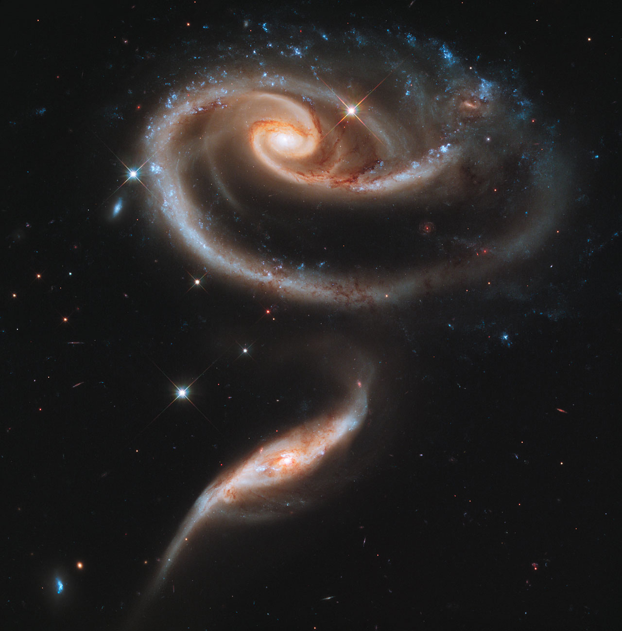 The SPAAAAACE Thread A+Rose+Made+of+Galaxies