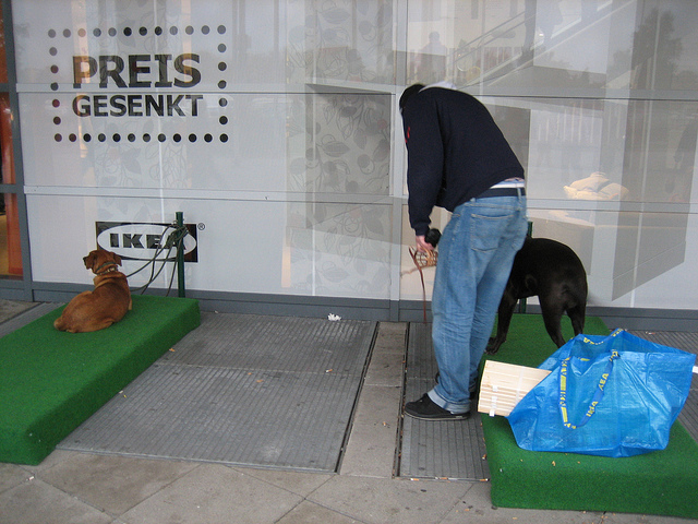 Ikea tem estacionamento para cachorros