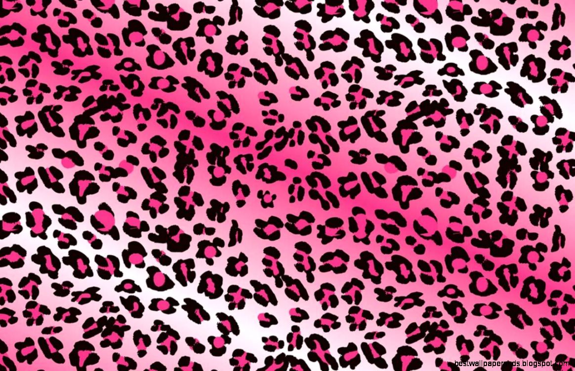Pictures Of Cheetah Print Wallpapers Wallpaper Cave Pictures Of Cheetah Print Wallpapers Wallpaper Cave