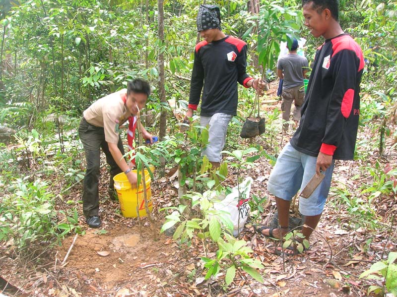 cara mengatasi global warning dengan penghijauan