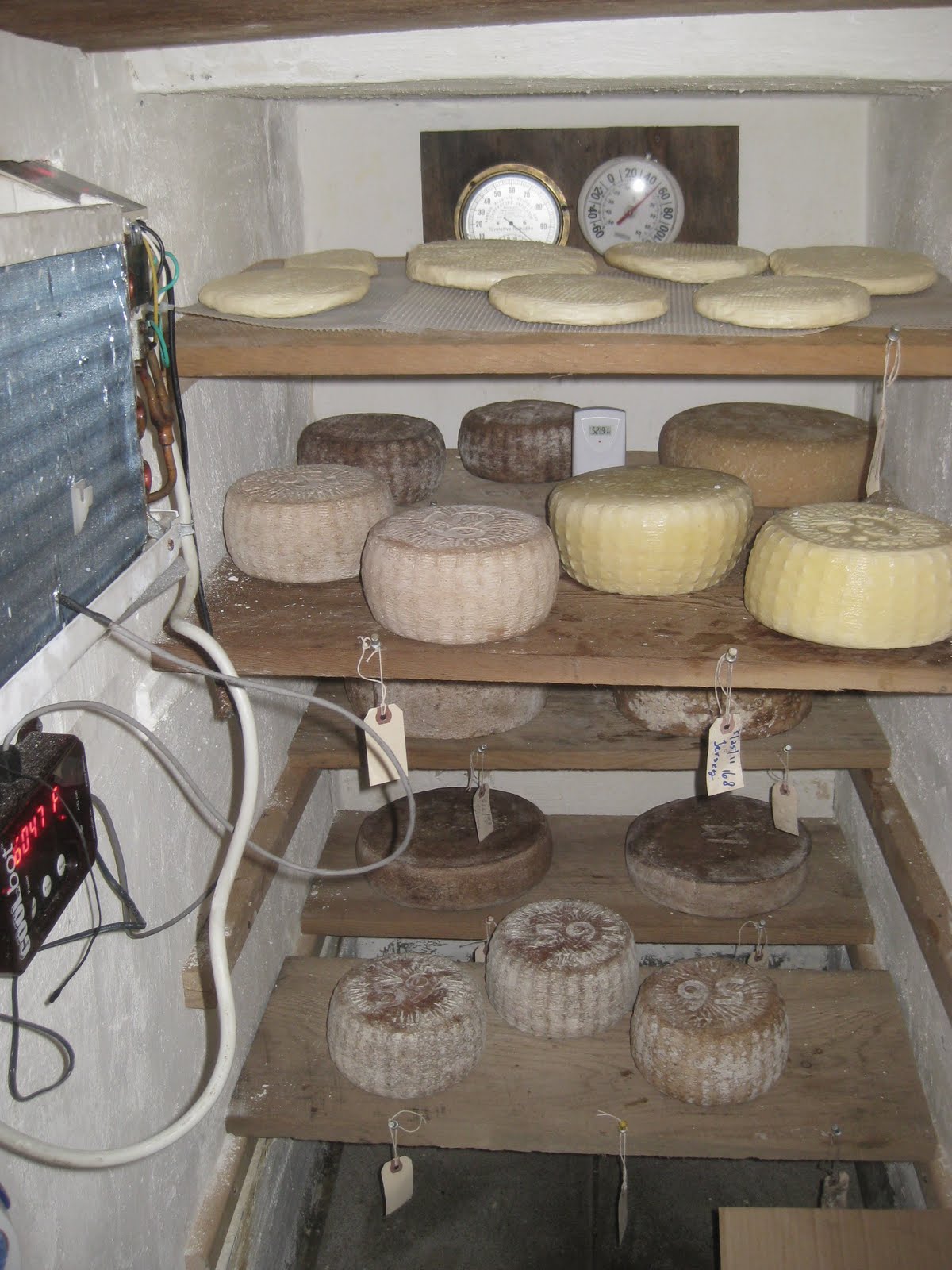 heinennellie New Cheese Cave