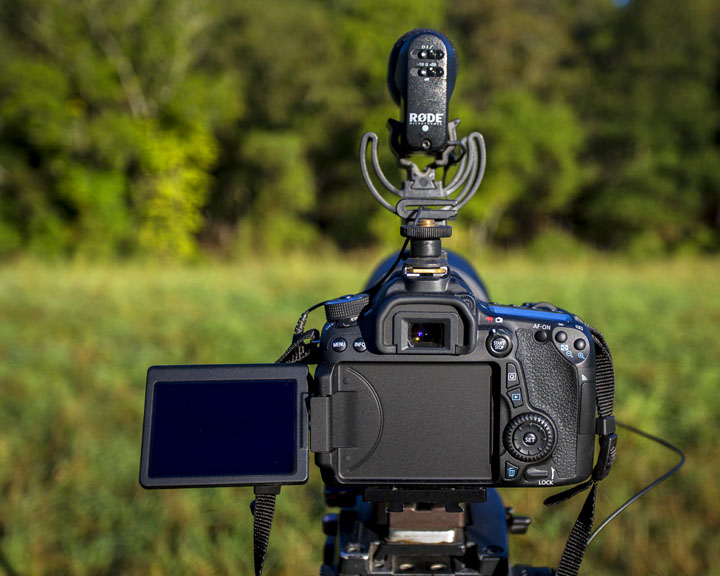 Pennsylvania Wildlife Photographer The Canon 70DFirst Impressions