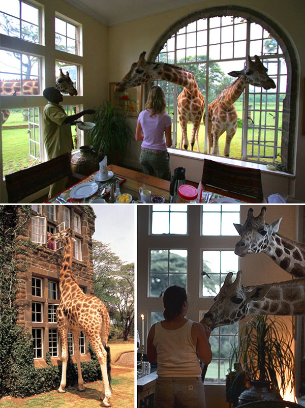 11+ Rumah Barbie Beneran Images