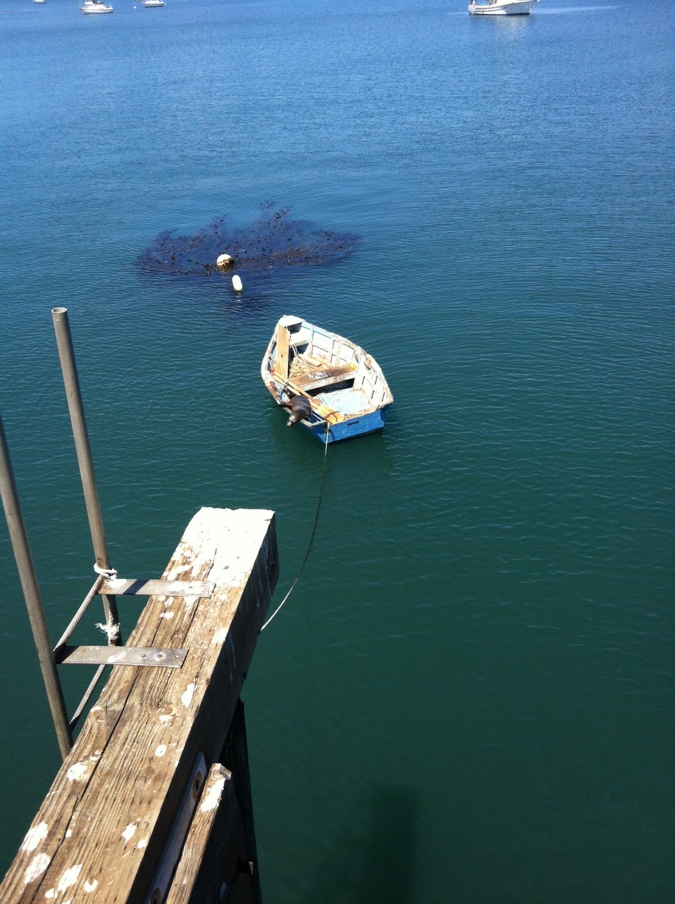 Discovering Avila Beach This Bliss Life