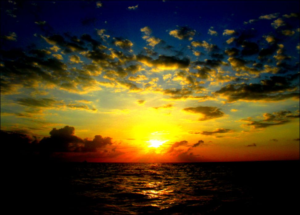 Heres to the future dailysatori Heres to the future dailysatori