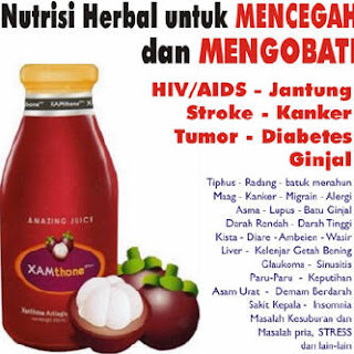 obat penyakit stroke alami obat penyakit stroke