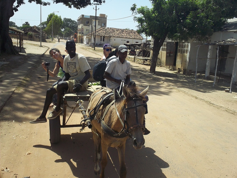 Julie au Sénégal Festival de Foundiougne