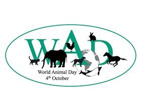 Word Animal Day
