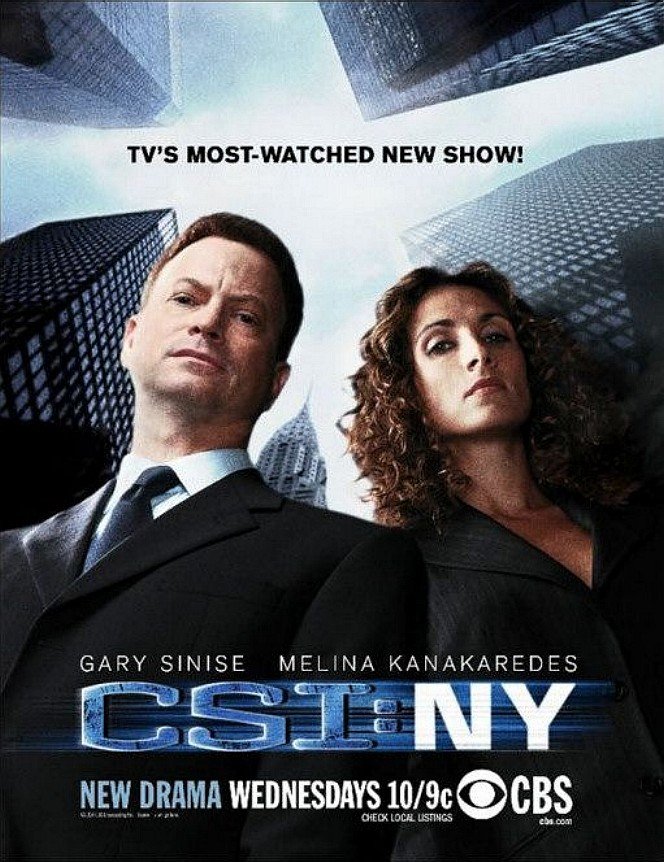CSI: NY TV Series 20042013 - IMDb