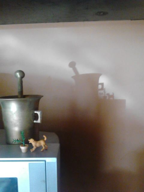 Shadow on the wall