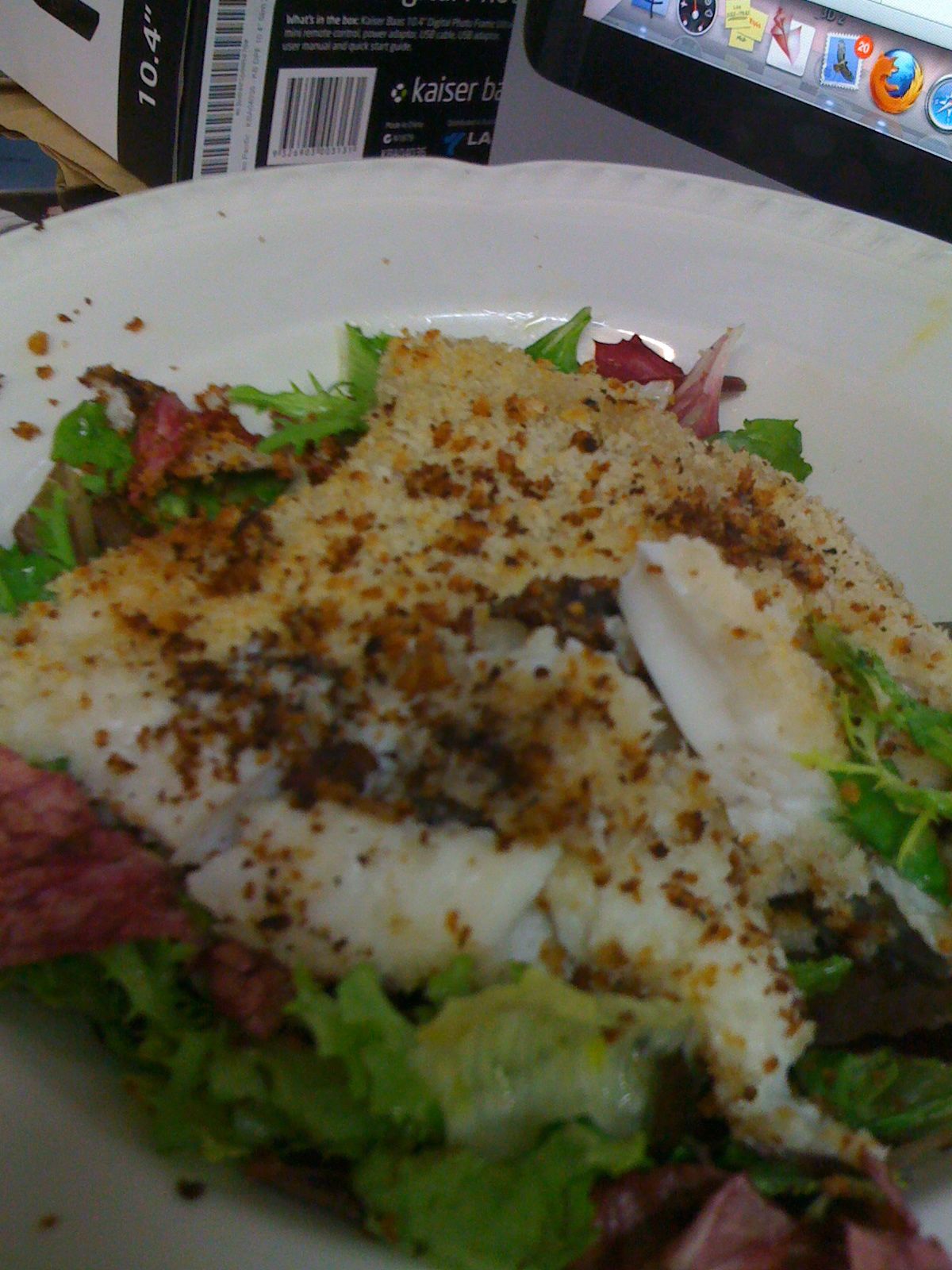 Maw Maw says I can do anything Pan Fried King Dory with Panko Crumbs