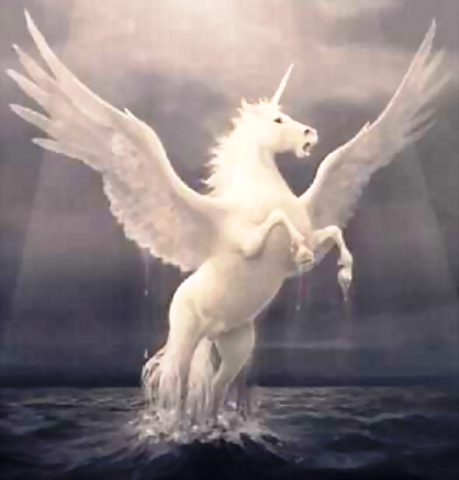 Rares Constantin si Antonia Elena Pagina 9