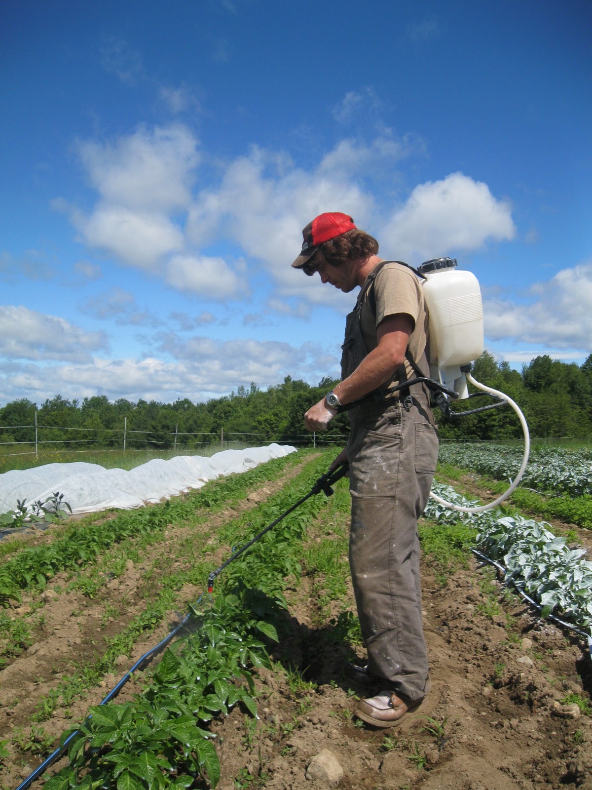 black kettle farm Apprenticeships