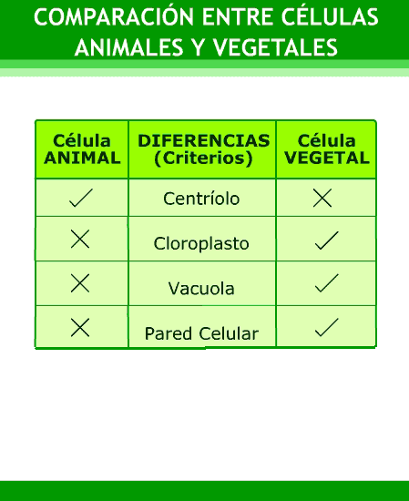 Estructura Celular 2014
