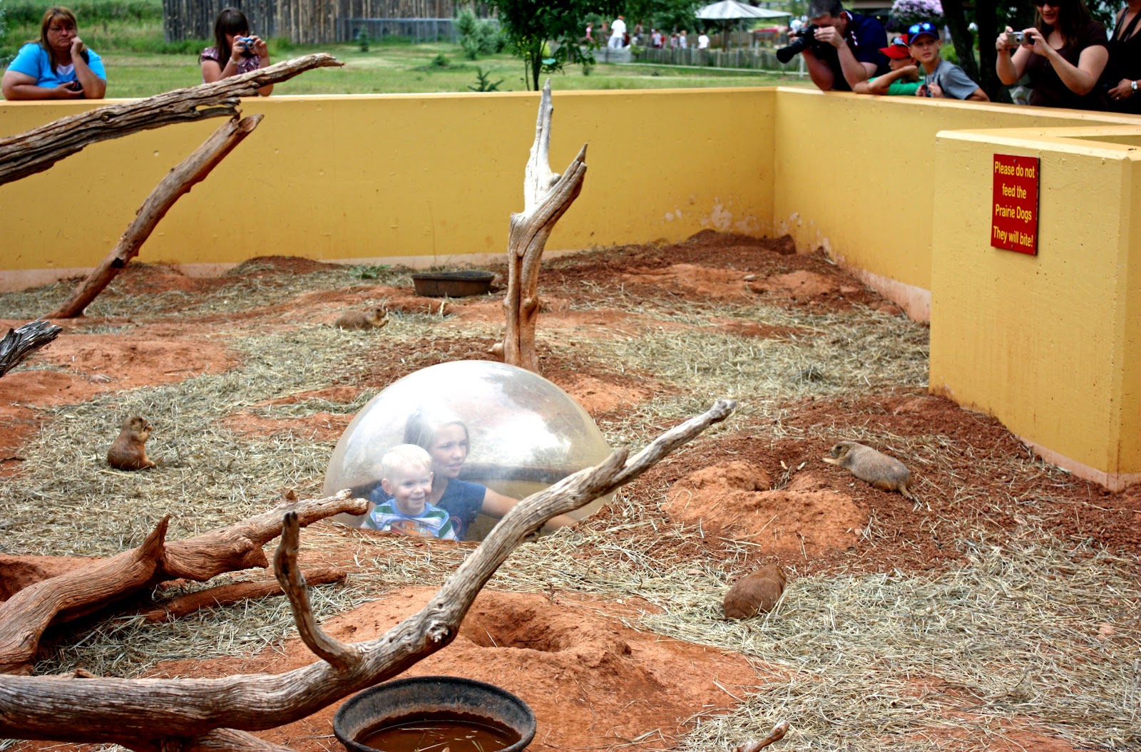 Prairie Dog Pet Cage Wallpapers Gallery