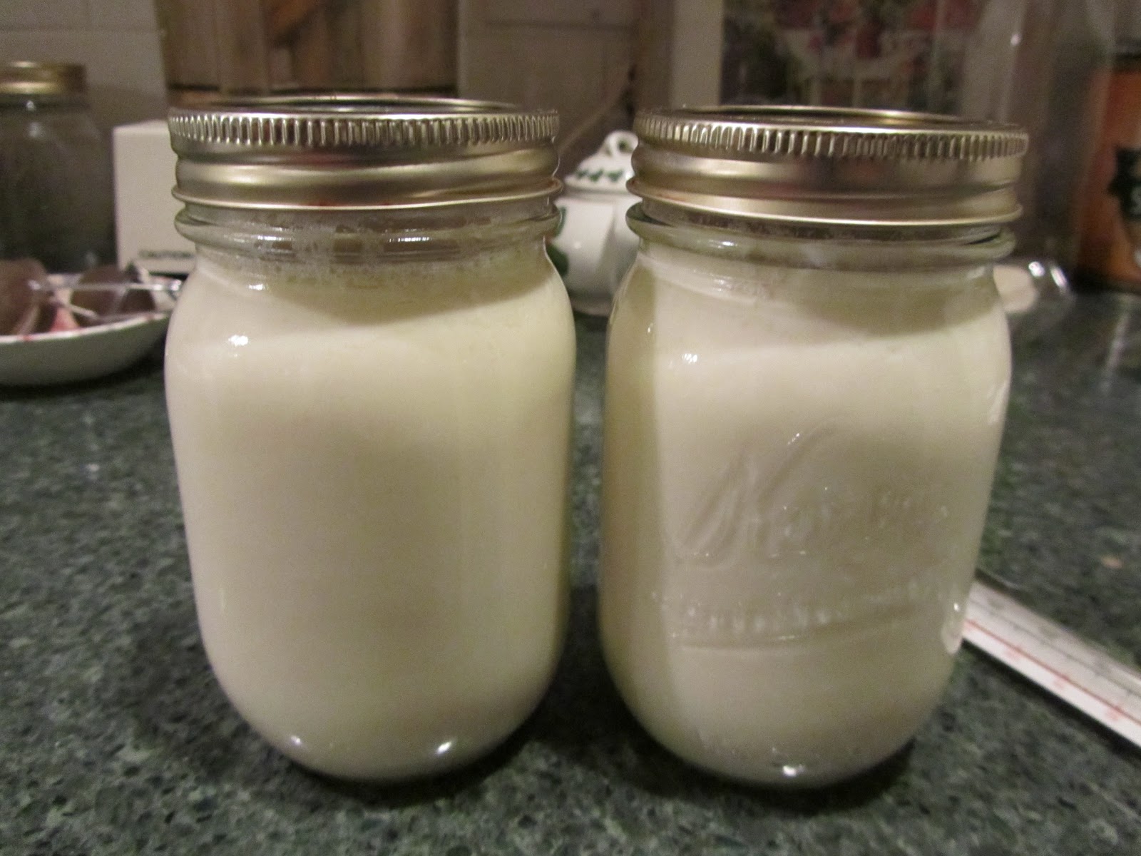 creative savv Making soy yogurt