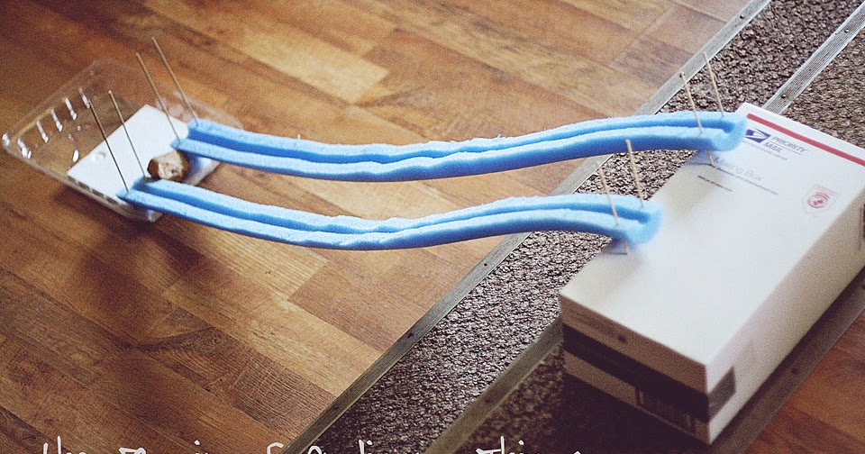 pool noodle race track