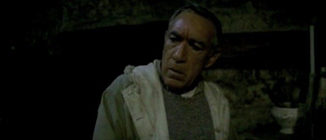 Enya Music lossless flac, ape, wav Music archive