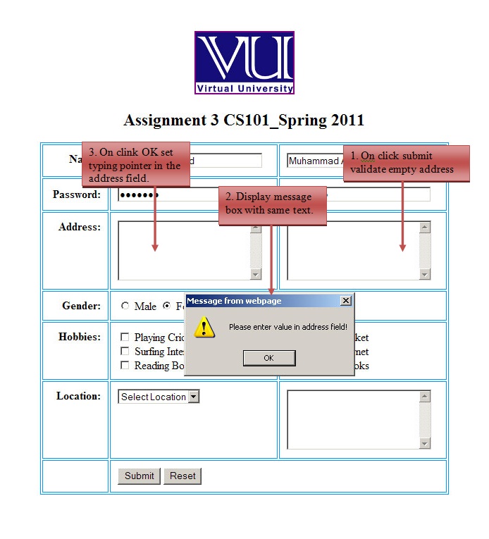 Vu Assignments