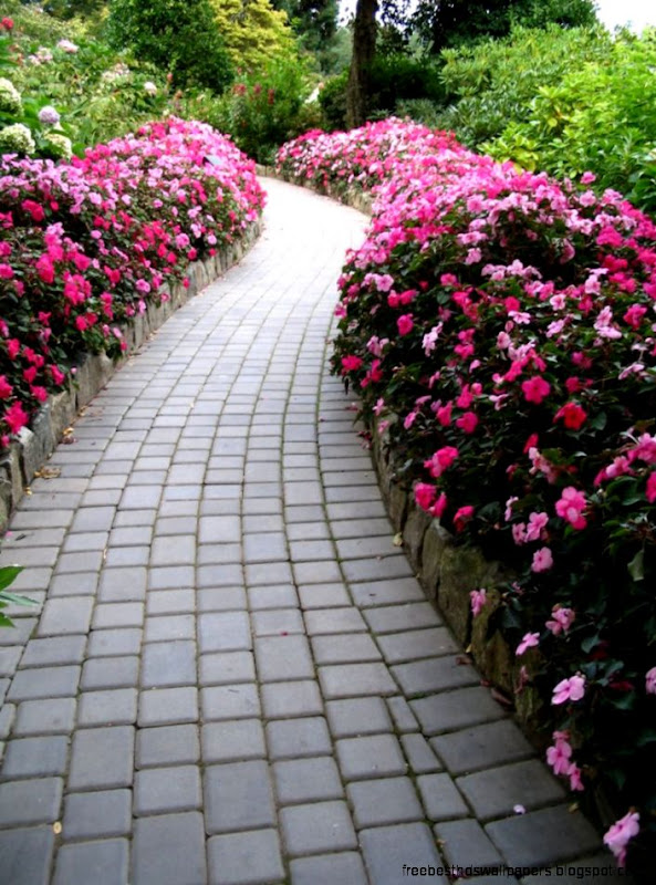 Panoramio Photo of Butchart Gardens Flower Path Panoramio Photo of Butchart Gardens Flower Path