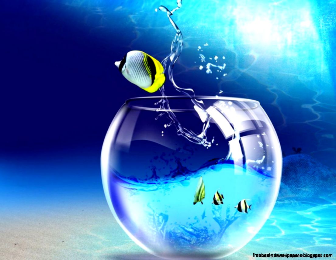 Safe Wallpaper And Screensavers Free Best Hd Wallpapers Safe Wallpaper And Screensavers Free Best Hd Wallpapers