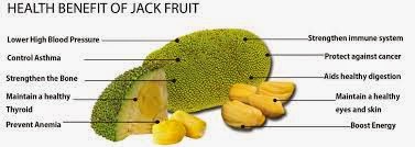 ALL PROBLEMS SOLUTIONS : Best Benefits Of Jackfruit Seeds For Skin, Hair  And Health