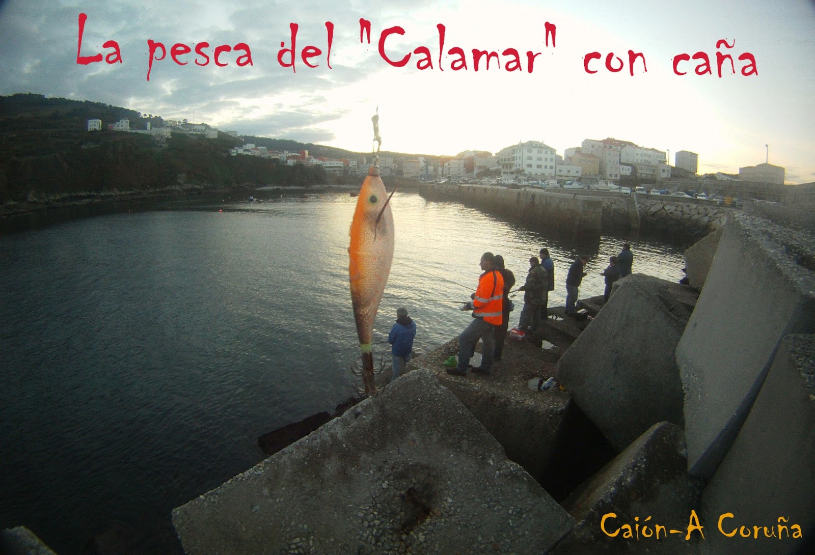 solorobalizas: Vídeo: La pesca del calamar con caña