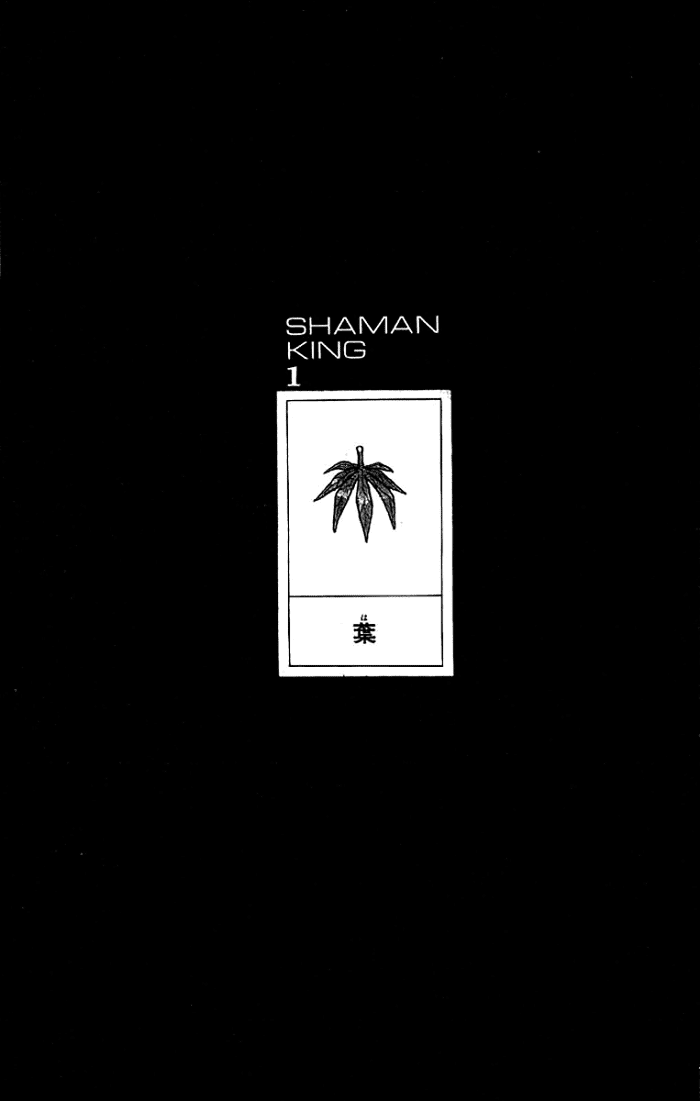 Shaman King (Vua Pháp Thuật) - Bản Đẹp