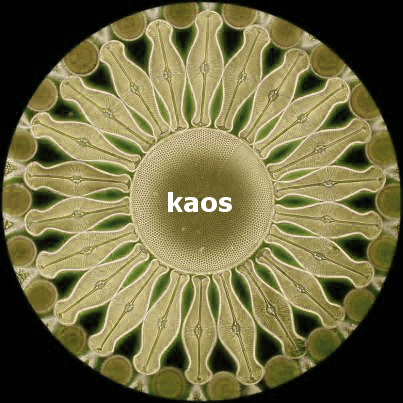 Gulun Ikinci Adi Kaos James Gleick