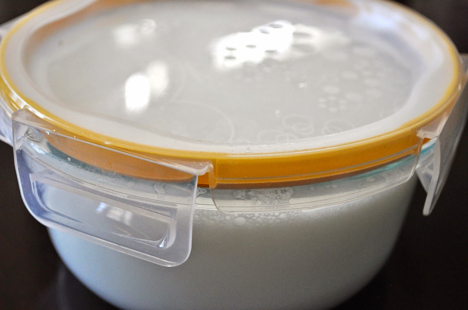 Cooking with Meena Homemade yogurt Indian style