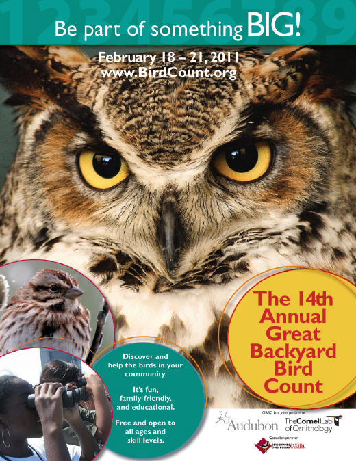Mommy Maestra The Great Backyard Bird Count Is Almost Here