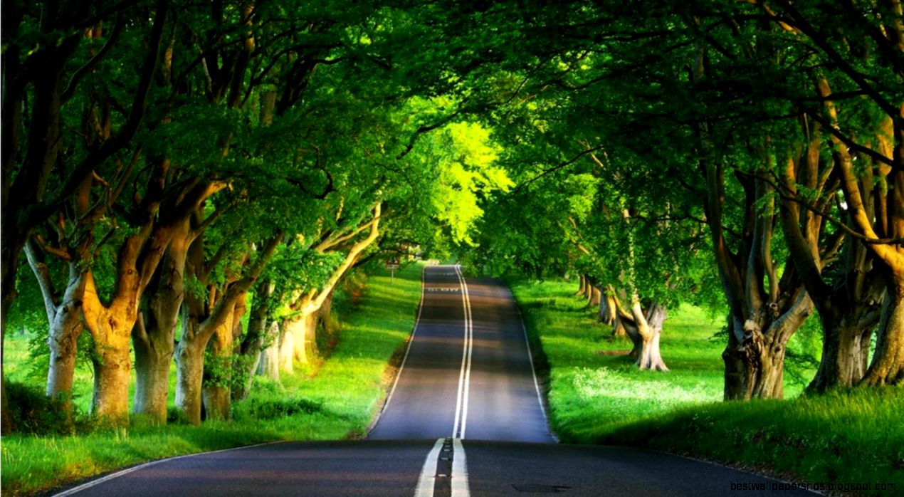 desktop wallpaper free download desktop wallpaper free download