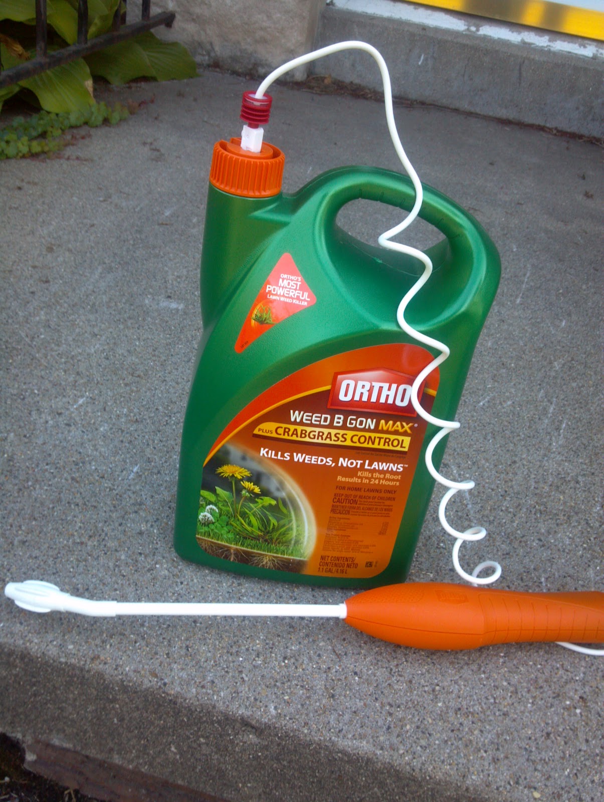 Pics of My Stuff 8/6/2012 Crabgrass Killer